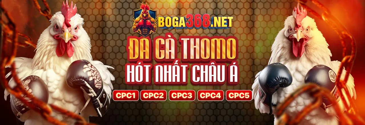 Đá gà trực tiếp sôi động tại 88clb88