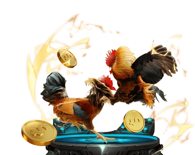 Cá cược thể thao W88